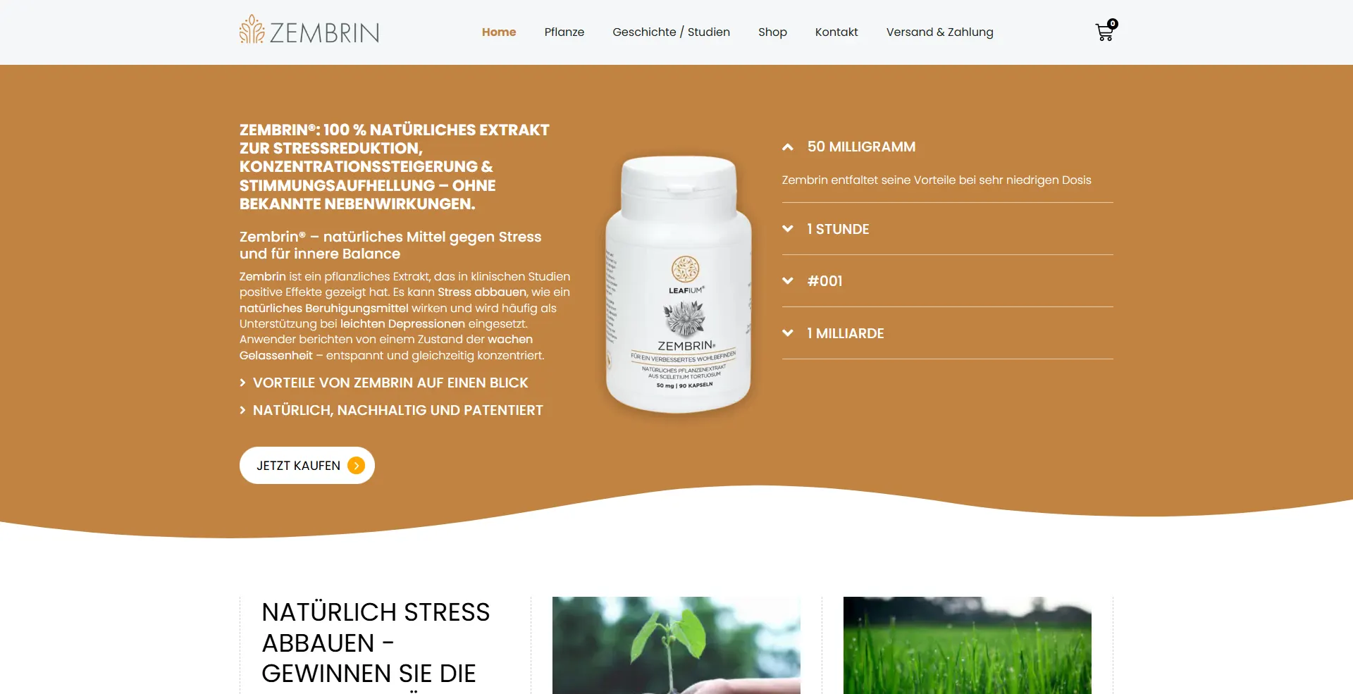 zembrin shop desktop pre
